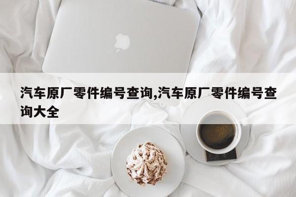 汽车原厂零件编号查询,汽车原厂零件编号查询大全