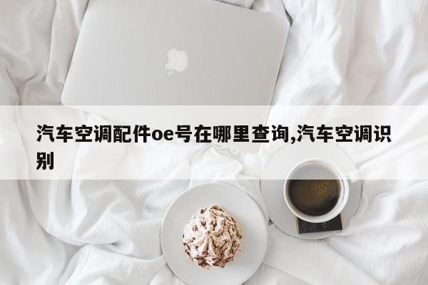 汽车空调配件oe号在哪里查询,汽车空调识别
