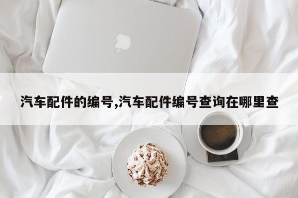 汽车配件的编号,汽车配件编号查询在哪里查