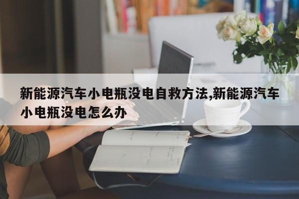 新能源汽车小电瓶没电自救方法,新能源汽车小电瓶没电怎么办