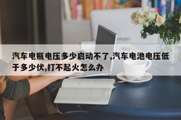 汽车电瓶电压多少启动不了,汽车电池电压低于多少伏,打不起火怎么办